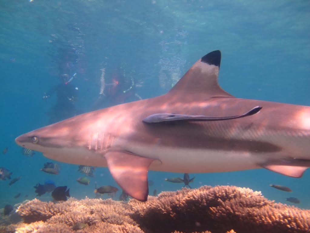 Ombak Dive Resort Pulau Perhentian Kecil Екстериор снимка