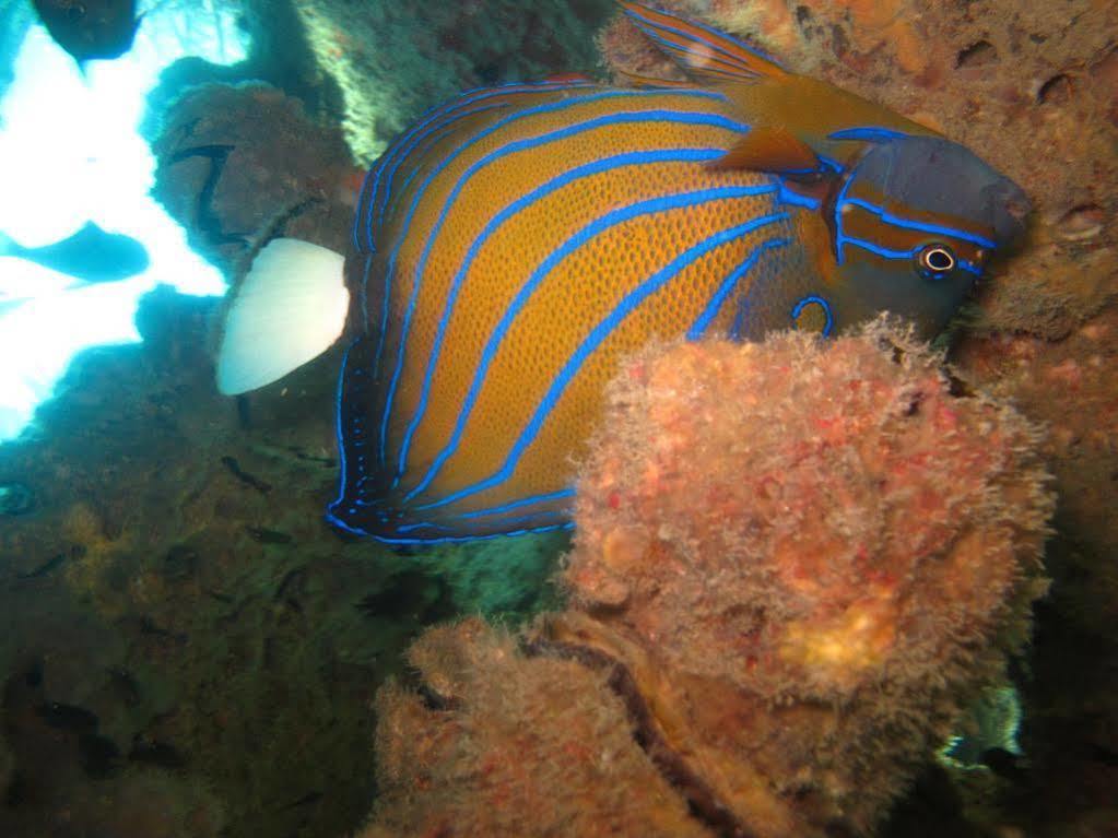 Ombak Dive Resort Pulau Perhentian Kecil Екстериор снимка